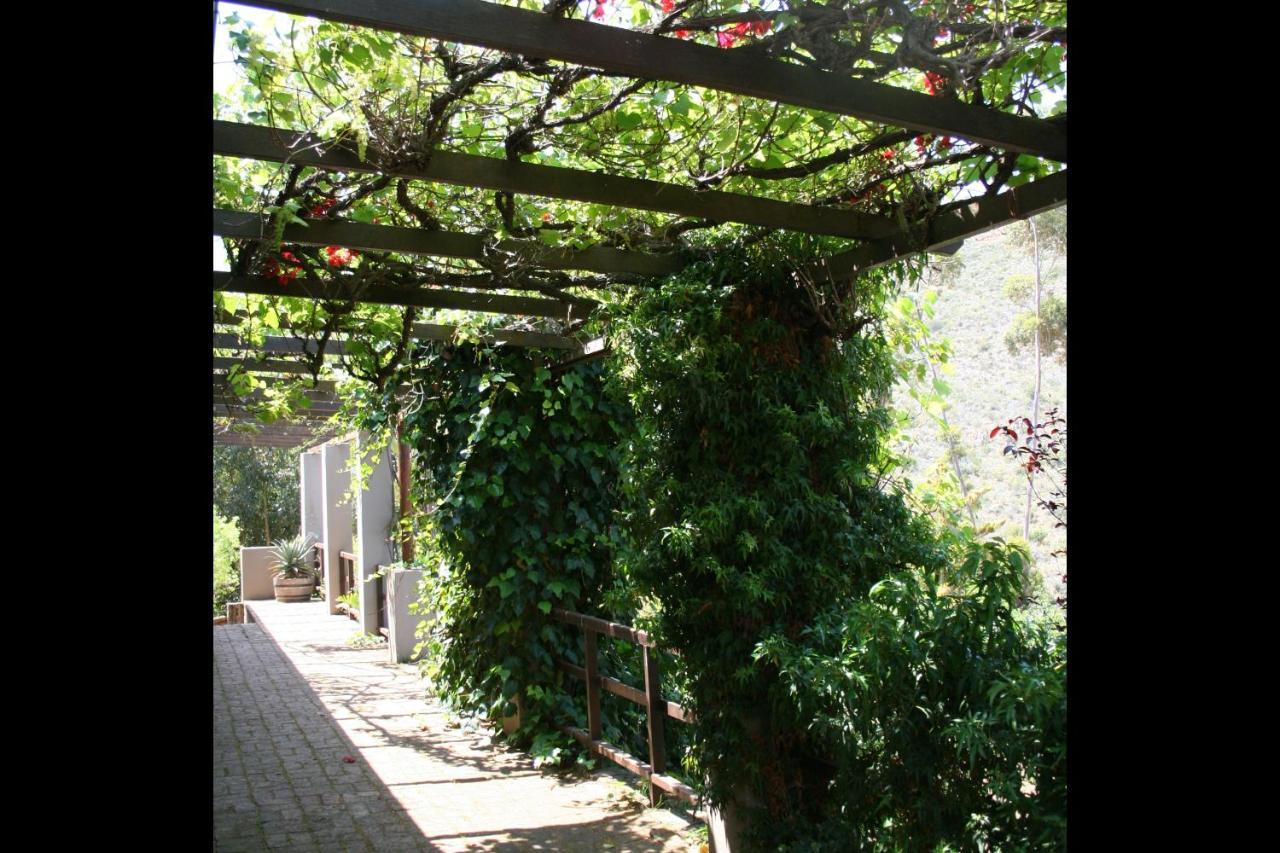Villa Porcupine Hills Olive And Guest Farm Botrivier Esterno foto