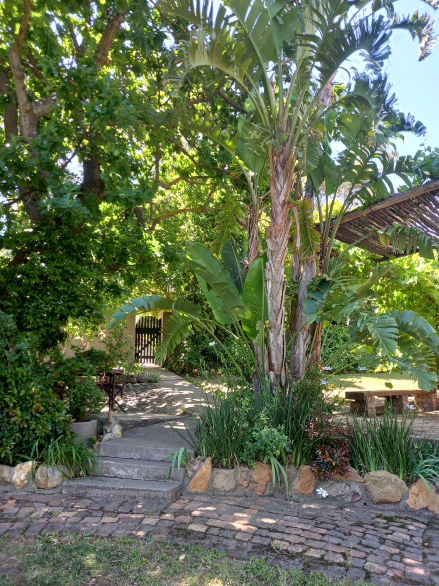 Villa Porcupine Hills Olive And Guest Farm Botrivier Esterno foto